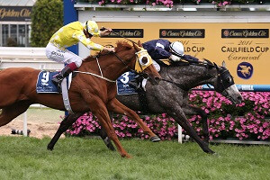 Fawkner Caulfield Stakes